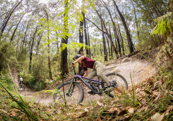 ider taking on a berm in the Yaugher network. The Yaugher network in the Forrest MTB Trails offers some of the best CX trails in Australia.