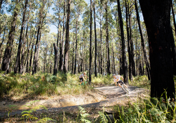 Rider taking a Steam Donkey berm at the Forrest MTB Trails